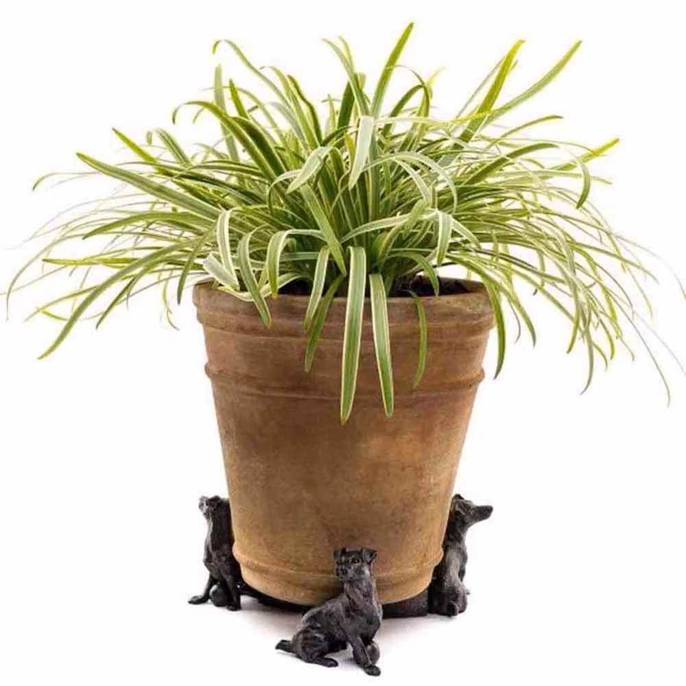 Jardinopia Antique Bronze Jack Russell Terrier Metal Plant Pot Feet - Set of 3 – 5