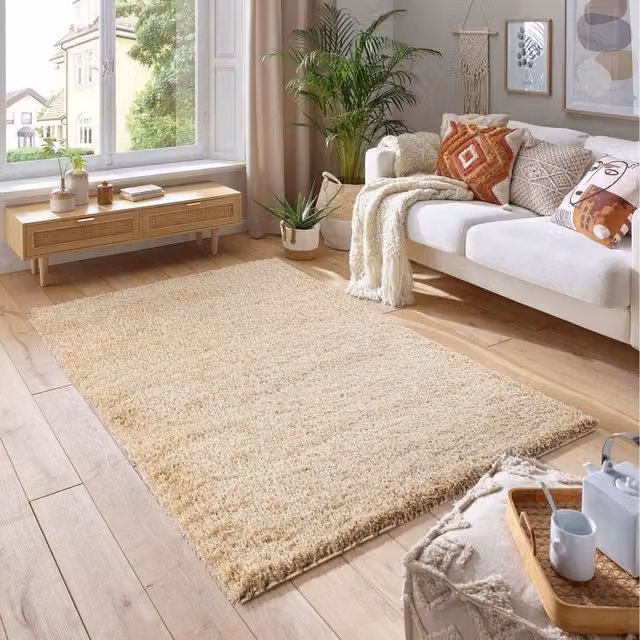 Smart Living Wholesale Ltd. Soft Fluffy Thick Pile Shaggy Area Rug in Beige and Brown, Rectangular, Width: 290 cm