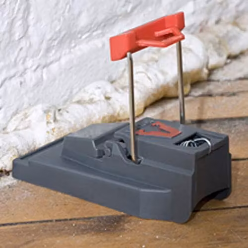 Deadfast Quick Kill Mouse Trap Twin Pack, Black – 3