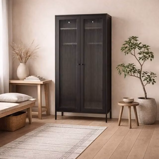 Wyld Haus Sattek Black Metal 2 Door Wardrobe with Glass Doors