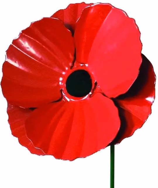 Garden Pride 3 Pack of Metal Poppy Floral Garden Stakes in Red and Brown