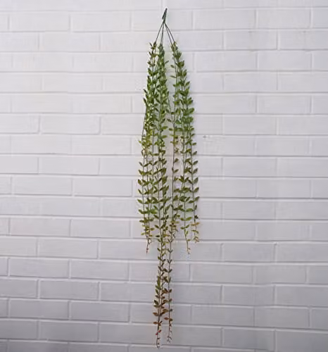 Leaf Design UK Pack of 12 Green Artificial Hanging String of Pearls Plants, Length: 120 cm – 2