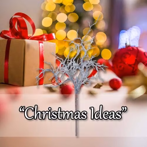 VFM e-Store Christmas Curly Twig Pick Decoration in Silver, W/D/H: 21 x 15 x 1 cm – 4