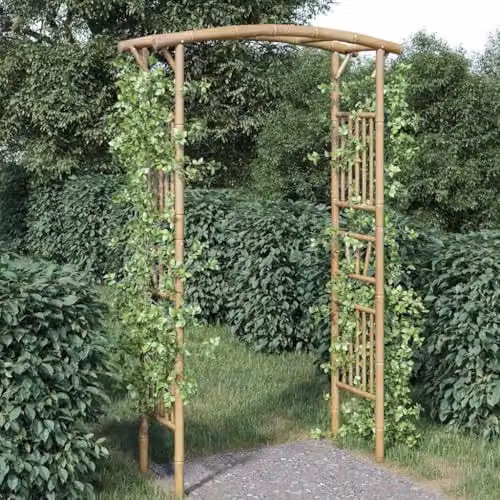 vidaXL Bamboo Rose Arch in Brown, W/D/H: 118 x 40 x 187 cm – 2