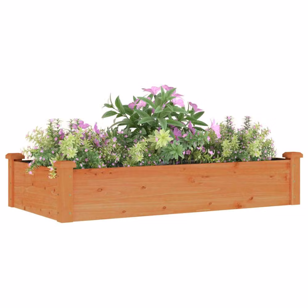 Berkfield Home Garden Raised Bed in Brown Solid Wood with Liner, W: 120 cm, D: 60 cm, H: 25 cm – 3