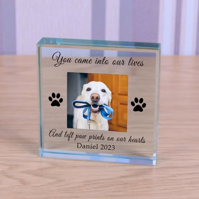 Uniqueful Personalised Paw Prints Pet Memory Glass Token Sympathy Gift in Transparent and Beige