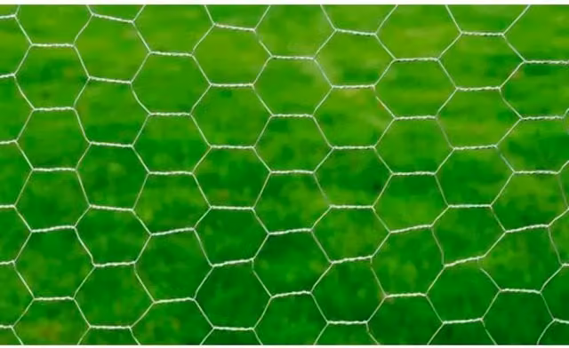 Berkfield Home Modern Galvanised Steel Chicken Wire Fence, Silver, W/H: 0.5 x 25 m – 1