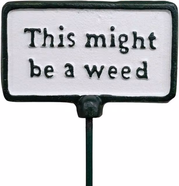 Gifts Direct 2 U Green and White Metal Garden Stake Plant Sign This Might Be A Weed – 1