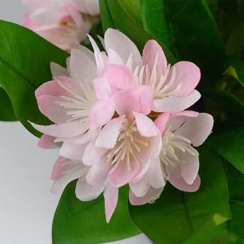 Leaf Pink Artificial Freesia Flowering Houseplant in a Potted Tabletop Design, Height: 18 cm – 2