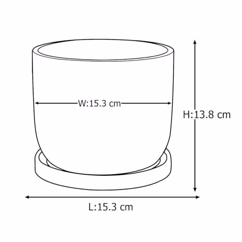 Widdop and Co Country Living Rooting For You Ceramic Plant Pot with Saucer in Yellow, W/D/H: 15.3 x 15.3 x 15.3 cm – 3