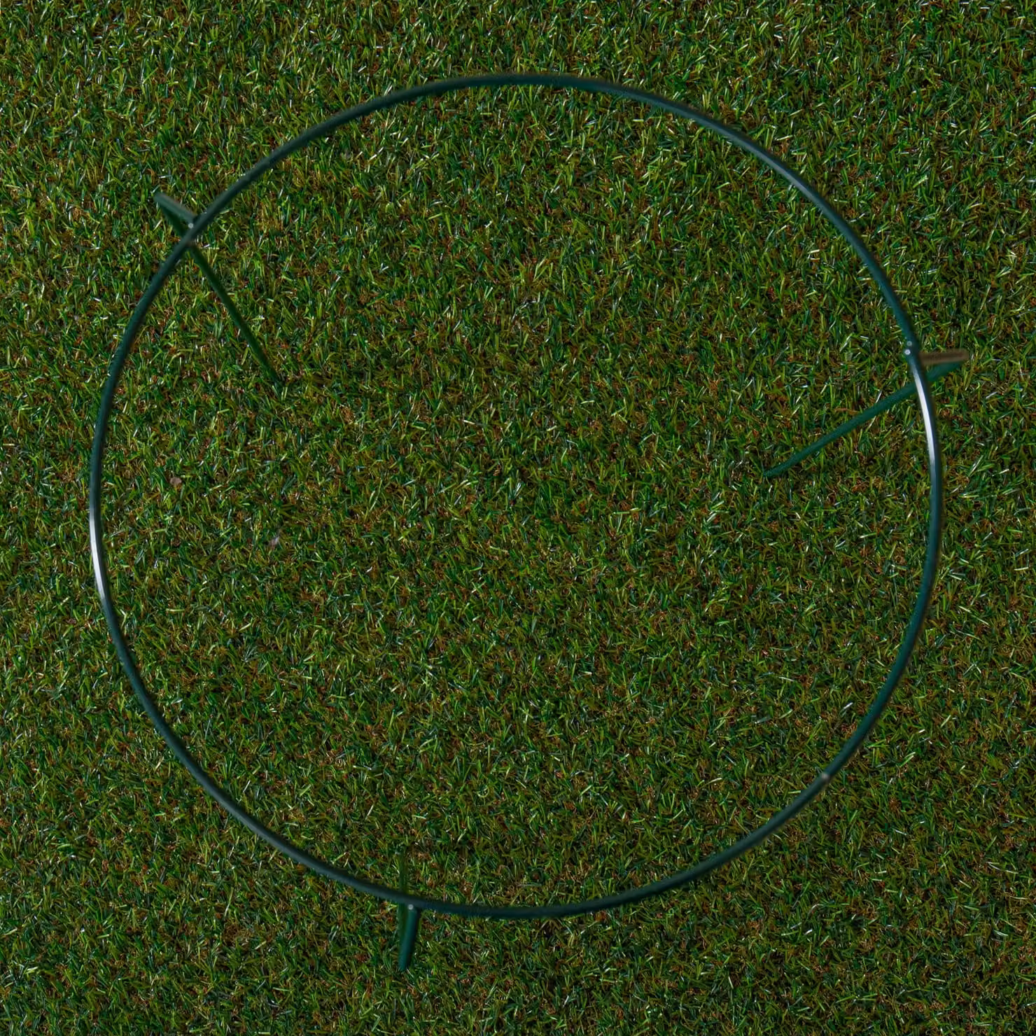 Samuel Alexander Tom Chambers Urban Metal Herbaceous Garden Plant Support Ring, Dark Green, W: 30 cm, H: 50 cm – 2