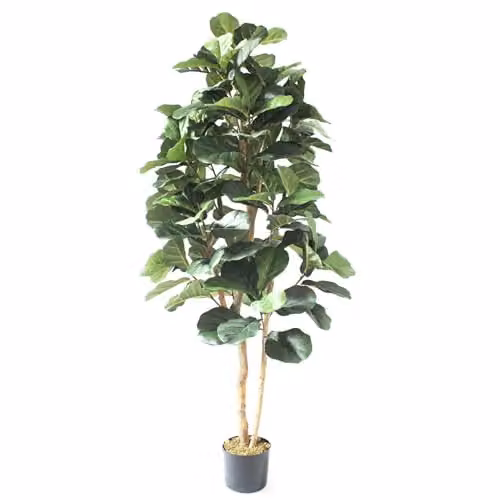 Leaf Design UK 180cm Artificial Fiddle Fig Deluxe Tree in Green with Black Plastic Pot – 2