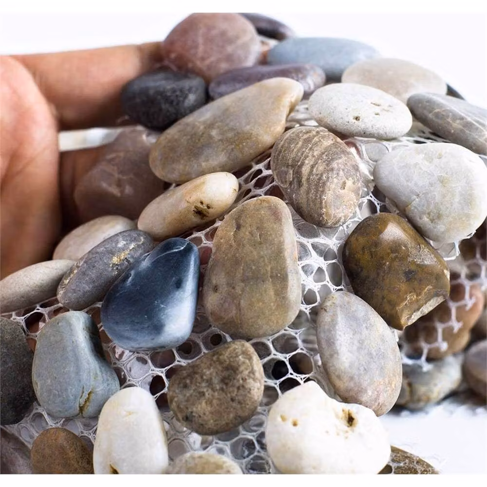 FLAVORA 12 Pack Multicolour Woodside Pebble Strip Decorative Garden Stone with Wire Mesh, Total Coverage: 0.6m2 – 2