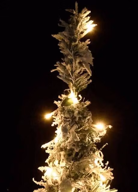 Berkfield Home Beautiful Pop-up Flocked Snow Artificial Christmas Tree with 100 LEDs in White and Green
