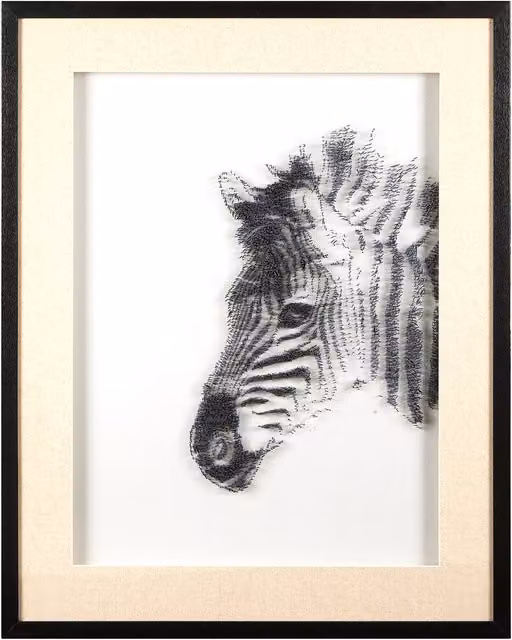 Orsina Modello Zebra Framed Wall Art in White and Black with Wood Frame