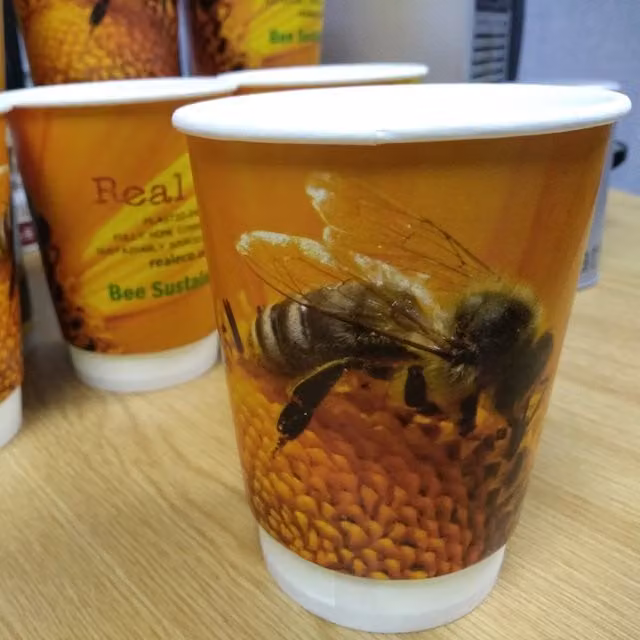 REAL ECO 100 Pack Double Walled Biodegradable Disposable Paper Cups, 355 ml, Orange