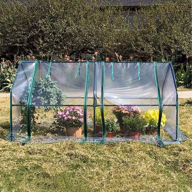 Lifeideas Curved Metal Frame PVC Greenhouse in Green and Transparent