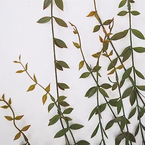 Leaf Green Artificial Hanging String of Pearls Plant – 2