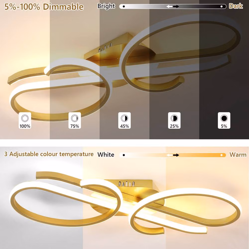 Pheashine Modern Gold Ceiling Light with Stepless Dimming and Remote Control, Diameter: 55 cm – 2