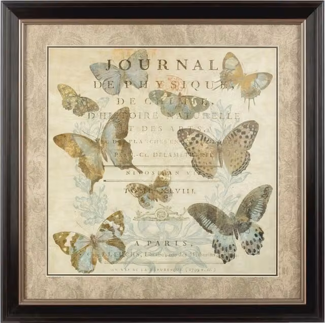 Orsina Antique Butterfly Illustration Framed Wall Art in Brown, Blue and Multicolour