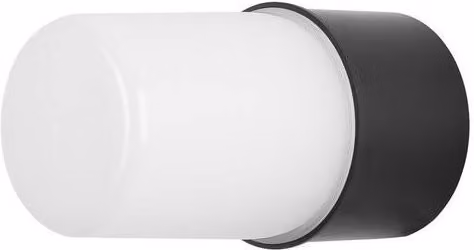 Netlighting FORLIGHT Port Black Outdoor Wall and Ceiling Fixture, IP54, E27, 40W – 2