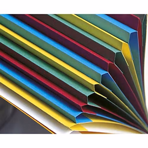 Exacompta Red Harmonika Multipart File for A4 Documents with 12 Multi-Coloured Tabbed Sections – 3