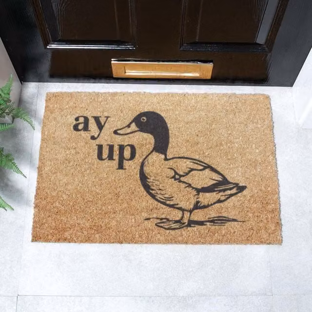 Artsy Mats Ay Up Duck Coir Doormat in Brown, W/D: 60 x 40 cm
