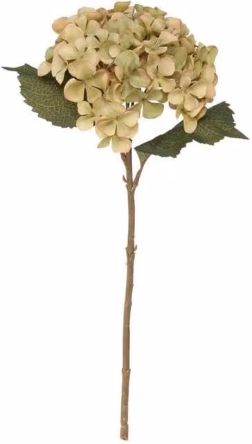 KDMD Balmoral Green Hydrangea, 2 Pack, Height: 45 cm – 1