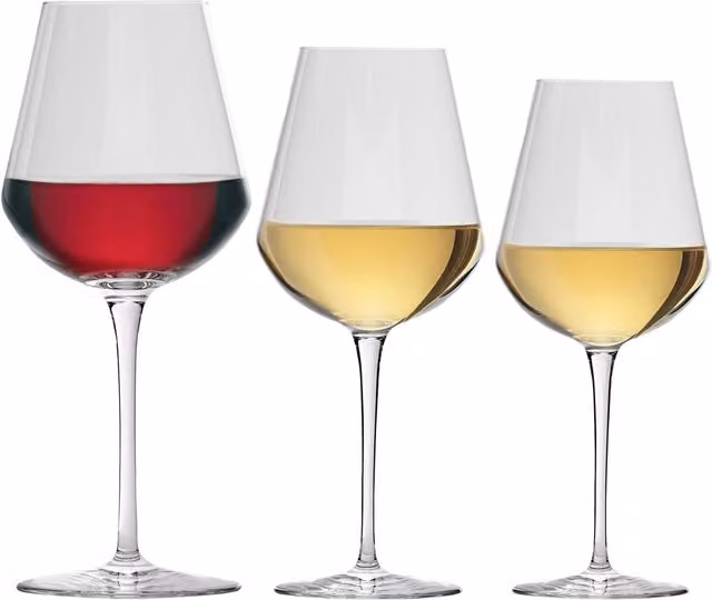 Bormioli Rocco Inalto Uno 18 Piece Transparent Wine Glass Set – 2