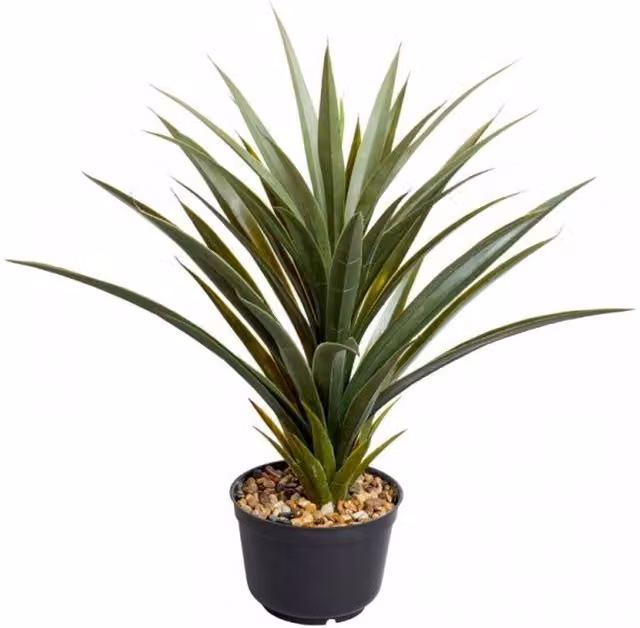 Garden Mile Artificial Spiky Sisal Tabletop Plant in Green and Black