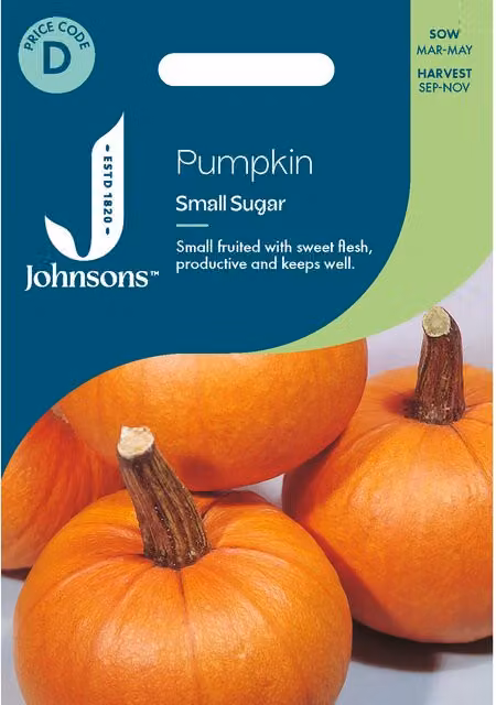 Johnsons Seeds Small Sugar Pumpkin Vegetable Seeds, Orange