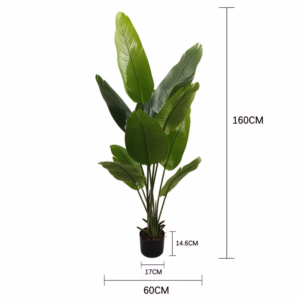 CASSILANDO Lifelike Artificial Bird of Paradise Plant, Green, Height: 152.4 cm – 3