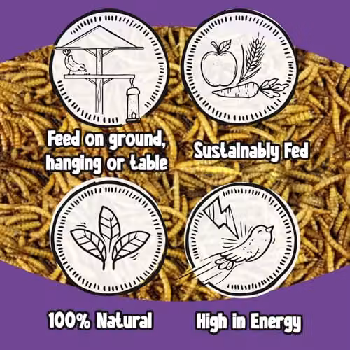 Chubby Mealworms Dried Mealworm and Calci Worm Mix, 5 Litre Protein and Calcium-Rich Treat for Birds, Reptiles and Small Pets – 3