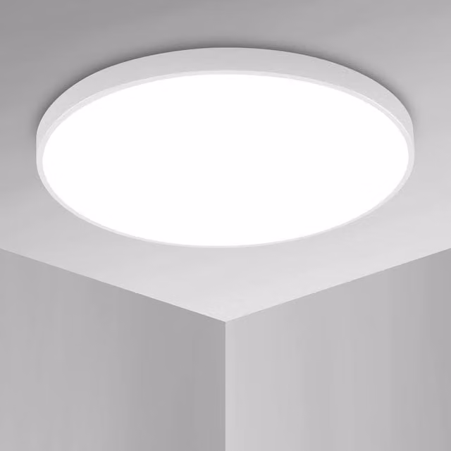 Pheashine White Round LED Ceiling Light, 24W, 6500K Cool White, Flush Mount Lamp