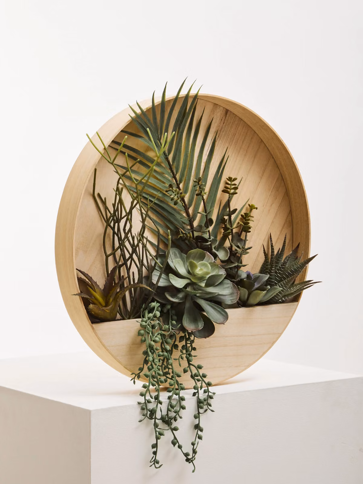 Orsina Fiori Mixed Green Succulents in a Round Wooden Wall Planter – 4