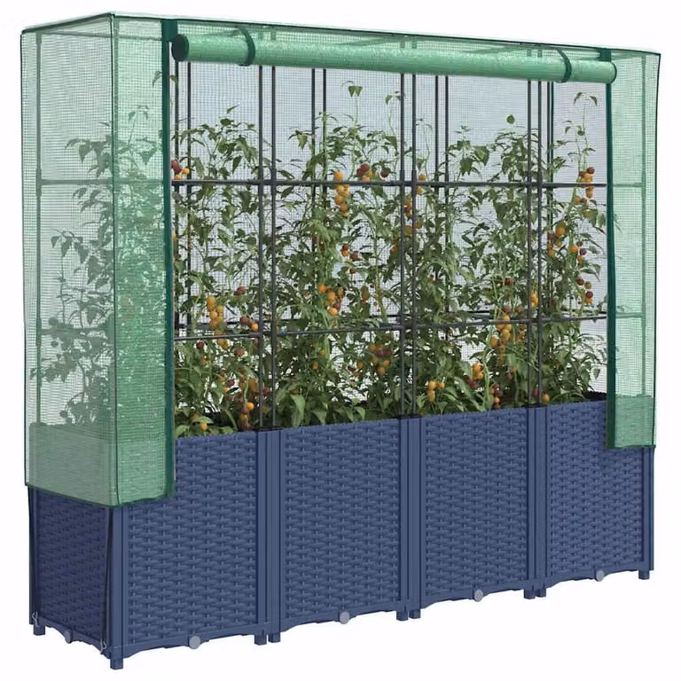 Berkfield Home Raised Bed with Greenhouse Cover in Blue Rattan Look, W/D/H: 160 x 40 x 153 cm