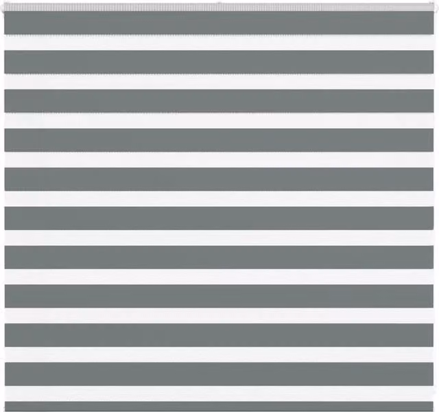 Berkfield Home Zebra Day and Night Blind in Dark Grey Polyester, W: 100 cm, H: 165 cm – 1