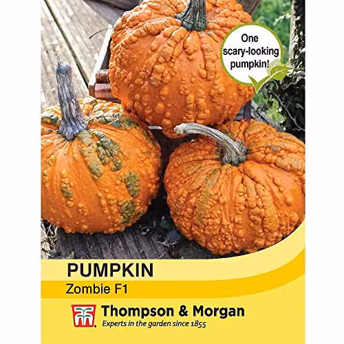 Thompson and Morgan Pumpkin Zombie F1 Hybrid Cucurbita Pepo Orange Vegetable Seeds, 4 Seeds per Packet – 3