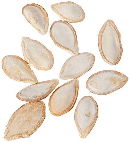 Johnsons Organic Early Butternut Squash Seeds, Yellow – 2