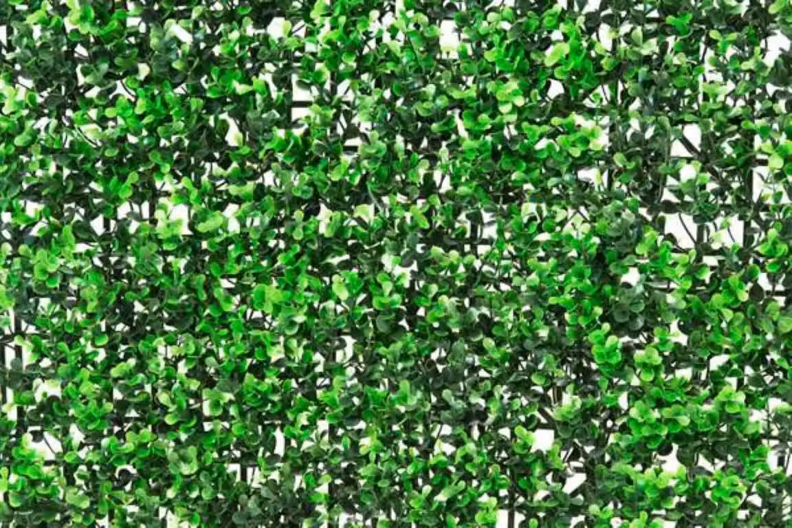 Primrose Artificial Buxus Hedge Outdoor Patio Fence, 4 Green Plastic Panels, W/H: 50 x 50 cm – 2