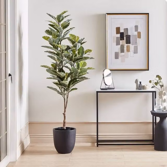 Wyld and Coco 160cm Artificial Ficus Potted Tree in Green and Black Concrete Pot – 1