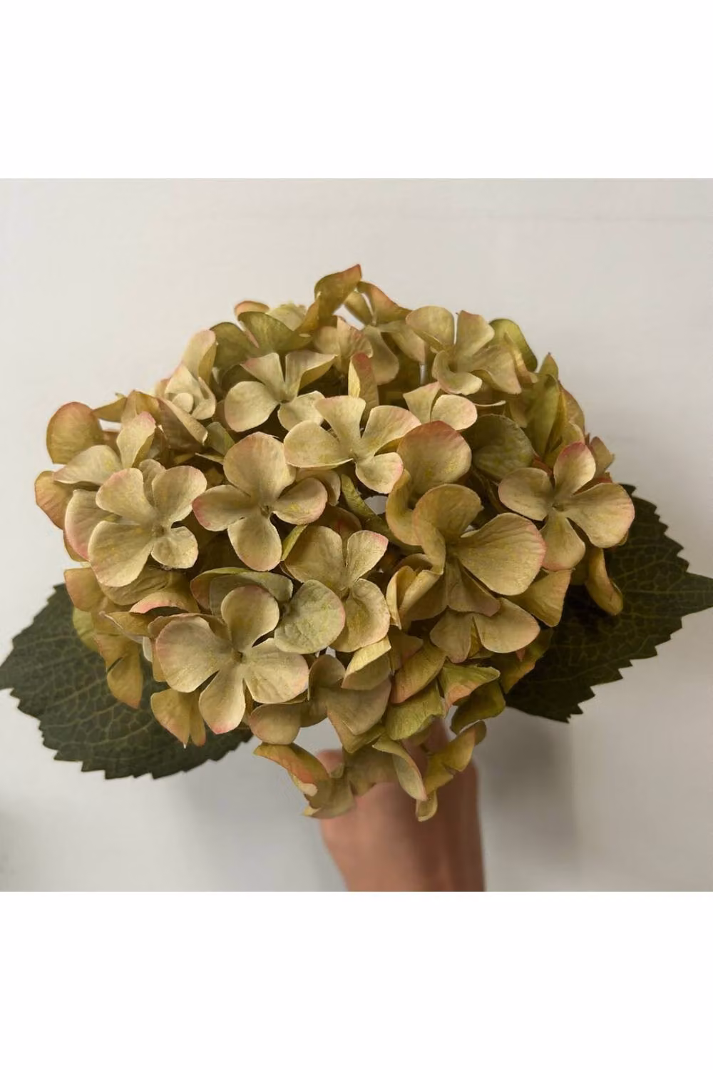 KDMD Balmoral Green Hydrangea, 2 Pack, Height: 45 cm – 2