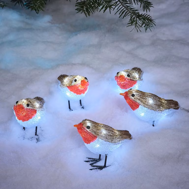 Set of 5 Red and Multicolour Acrylic 3D LED Outdoor Christmas Robin Figures with Timer