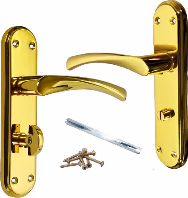 Betley Butterfly Polished Brass Plate Door Handle in Gold