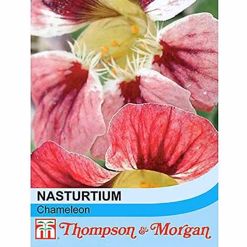 Thompson and Morgan Chameleon Nasturtium Seeds, Multicolour Summer Flowering Annuals, 20 Seeds – 1