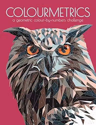 Buster Books Colourmetrics Geometric Colour by Numbers Challenge for Adults, Multicolour