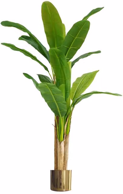 Leaf 180cm Artificial Banana Tree with Gold Planter in Green