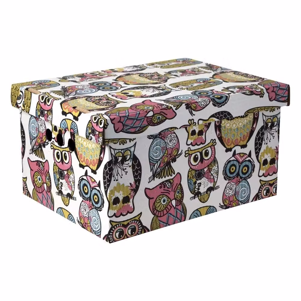 NESTLUNE 2-Piece Multicolour Decorative Cardboard Storage Boxes with Lids for your Home or Office – 3