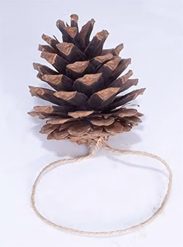 Netagon Pack of 6 Brown Hanging Pine Cone Pendant Decorations – 7