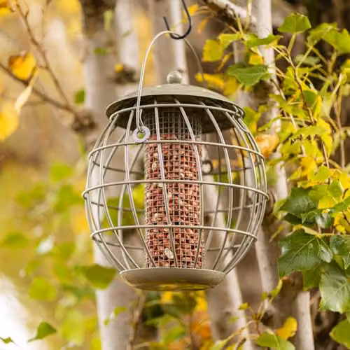 Happy Beaks Orbital Squirrel Proof Bird Feeder in Sage Green Steel Cage for Fat Balls, Peanuts, Seeds and Suet – 3